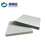 Hollow plastic sheet