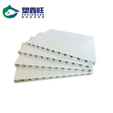 Hollow plastic sheet